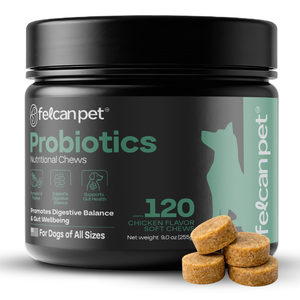 Probiotics For Dogs