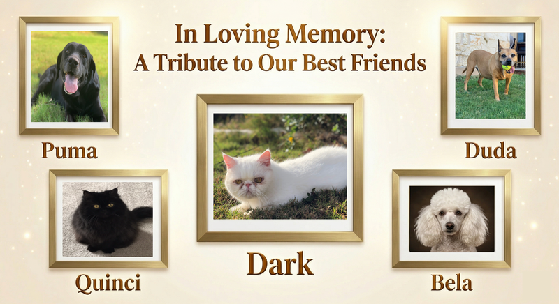 Our Story